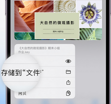 椒江apple维修中心分享iPhone文件应用中存储和找到下载文件