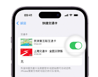 椒江apple维修点分享iPhone上更换Apple Pay快捷交通卡手绘卡面 