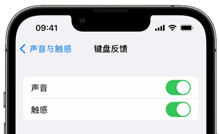 椒江苹果手机维修分享iPhone 14触感键盘使用方法 