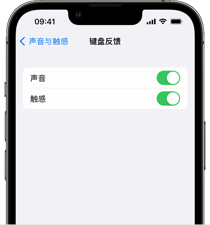 椒江苹果14维修店分享如何在 iPhone 14 机型中使用触感键盘 