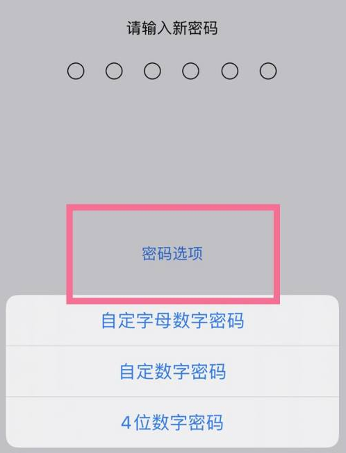 椒江苹果14维修分享iPhone 14plus设置密码的方法 