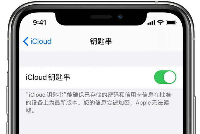 椒江苹果手机维修分享在 iPhone 上开启 iCloud 钥匙串之后会储存哪些信息 